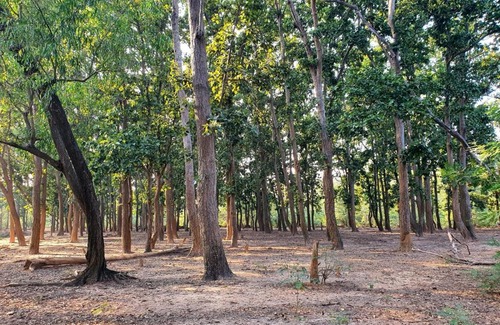 Santiniketan Resort | Park Guest House