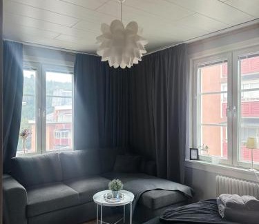 Ornskoldsvik Hotel | Park Hotell