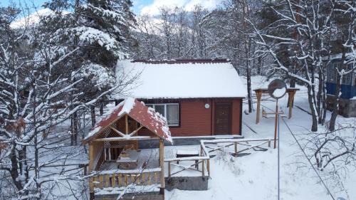 Aghavnadzor Resort | Park Resort Aghveran