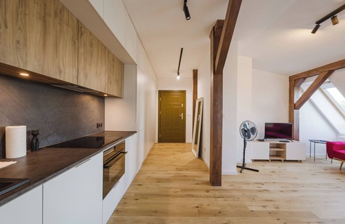 Grunwald Apartment | Park Wilsona Stylish Apartment