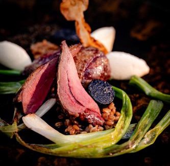 Herne Hotel | Parkhotel Herne
