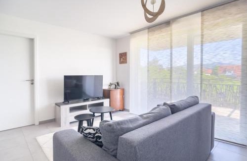 Chatenois Apartment | Parking privé - Accès PMR - Terrasse vue châteaux - 2 lits