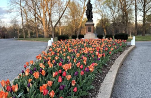 Tower Grove South Apartment | Parkside Fam & pet friendly apt 15 min to Arch