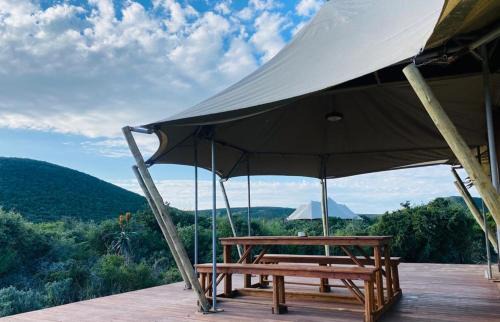 Colchester Cabin | ParkView Safari Lodge