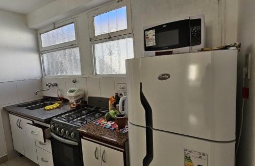 Barrio Centro Apartment | Parque San Martin