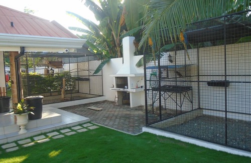 Basdiot Cottage | Parrot Resort Standard Room 3 - Moalboal