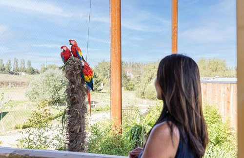 Crecy-la-Chapelle Cabin | Parrot World - Les Lodges