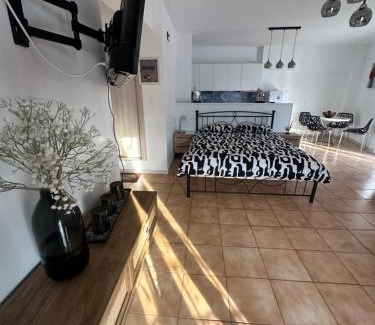 Pythagorion Apartment | Parthenis appartments