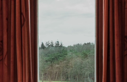 Zedelgem Villa | Particularly located, rural house with character near Bruges. Animal friendly.