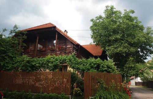 Sovata House | Pasager House