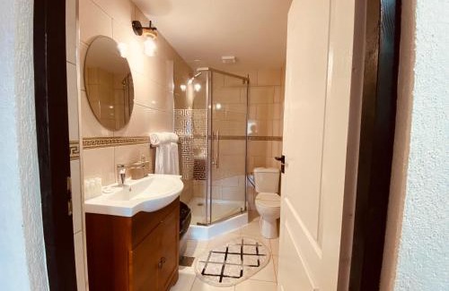 Budesti House | PASTRAVARIA ALINA