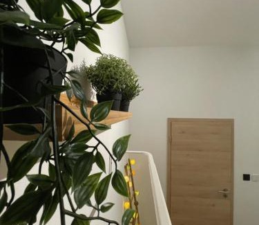 Saint-Laurent Apartment | Patenier Hidden Garden 1bdr with garden