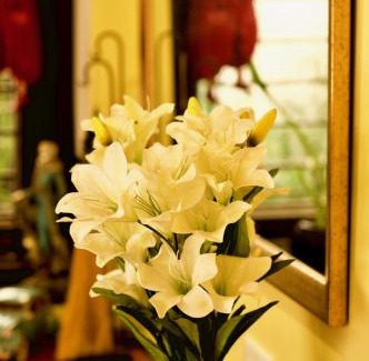 Jaipur Bed & Breakfast | Pathik Niwas
