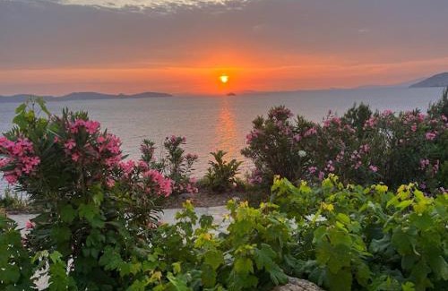 Sapsila Apartment | Patmos Garden Sea
