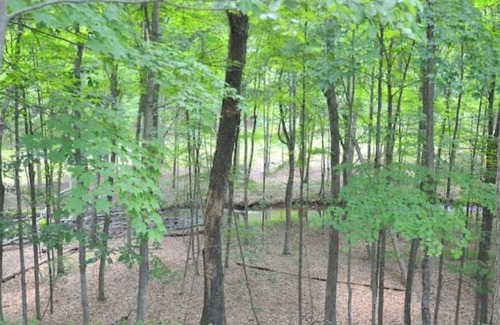 Berkeley Springs Cabin | Pattertwig - Pet friendly & near Cacapon State Park Newly constructed, sleeps 8