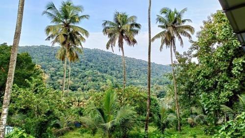 Irinjalakuda House | Pavans Rainy Days Home Stay
