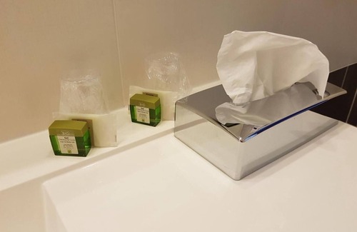Olivet Hotel | Pavillon Bleu