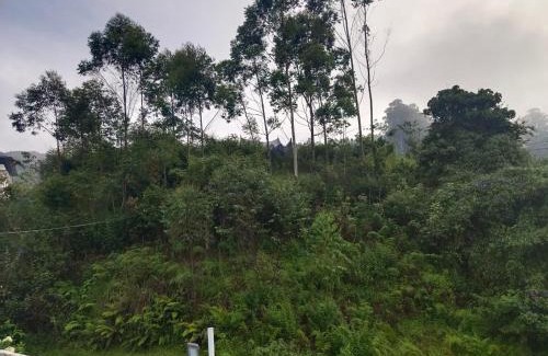 Munnar Villa | Pavithra cottage munnar