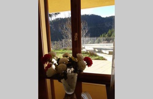 Pavliani Apartment | Pavliani country house