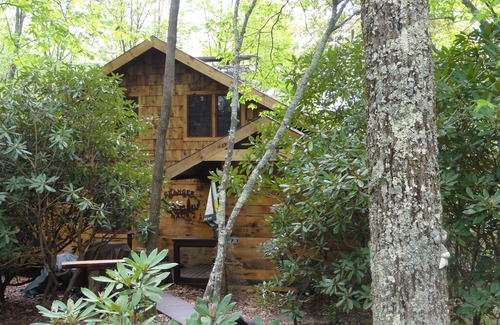 Beech Mountain Cabin | Paws and Relax! Fenced yard, level entry and HUGE deck