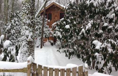 Beech Mountain Cabin | Paws and Relax! Fenced yard, level entry and HUGE deck