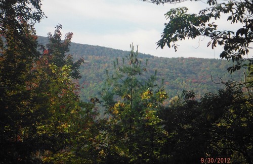 Beech Mountain Cabin | Paws and Relax! Fenced yard, level entry and HUGE deck