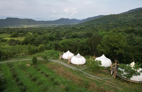 Kvareli Other | Peace Camp Gremi