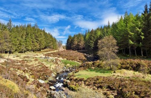 Newton Stewart House | Peace
