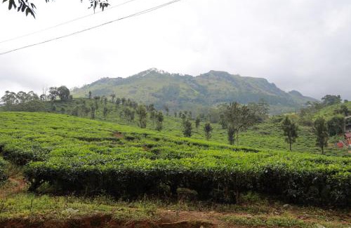 Chithirapuram House | Peace Valley Home Stay