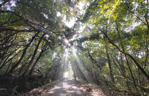 Sathyamangalam Resort | peace valley resort
