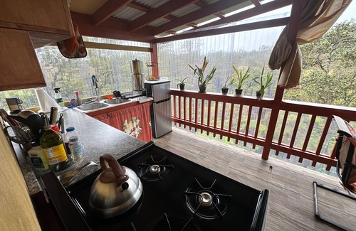 Fern Forest Apartment | Peaceful 1-bedroom studio in Volcano