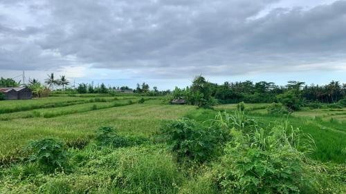 Medahan House | Peaceful 2BR Bali-Based Home for Families & Friends