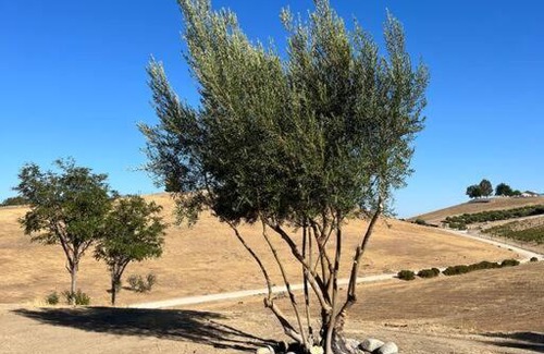 Paso Robles House | Peaceful 4 Bedroom Farm Stay at Whispering Vines