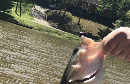 Cross Lanes Cabin | Peaceful fishin’ camp on a lake, bring your dog, and fishing pole.