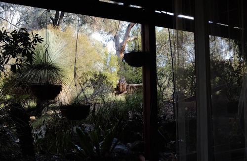 O'Connor Apartment | Peaceful nature near City & ANU with the full kitchen, bathroom, &free parking