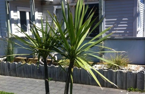 Otaki Beach House | Peaceful Otaki beach house