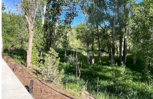 La Veta Apartment | Peaceful River Retreat