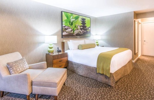 Barron Park House | Peaceful Unit with Outdoor Pool, Free Breakfast & Free Parking