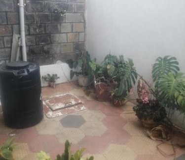 Nairobi House | Peacock palace