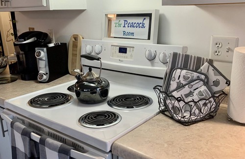 St Croix Falls Apartment | Peacock Suite at historic 123 South Washington
