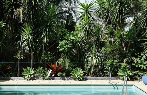 Suffolk Park House | Pearl House on Tallows - Luxury Pet friendly Beachfront home with Pool, Spa & Sauna
