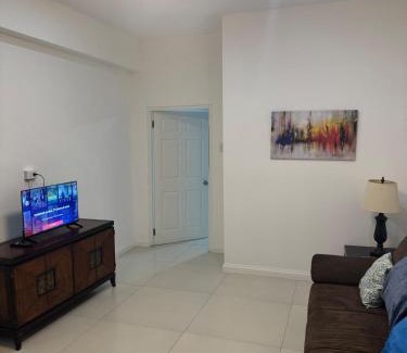 New Kingston Apartment | Pearl of the City LIGUANEA