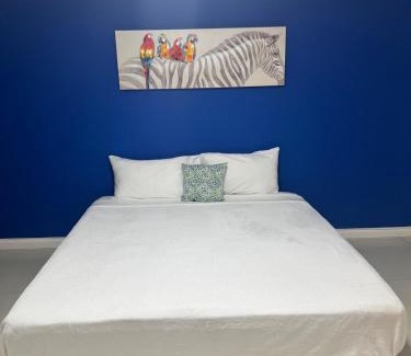 New Kingston Apartment | Pearl of the City LIGUANEA