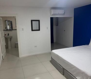 New Kingston Apartment | Pearl of the City LIGUANEA