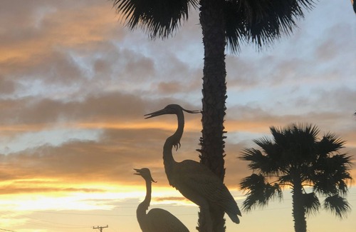 Rockport House | Pearl St. Cottage for bird and beach lovers