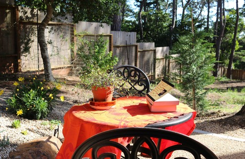 Pebble Beach Cottage | Pebble Cottage: New, Elegant, Steps away from Pebble Beach Lodge and Stevenson