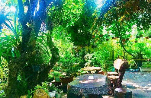Hoi An House | Pebble Homestay