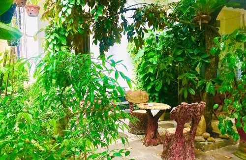 Hoi An House | Pebble Homestay