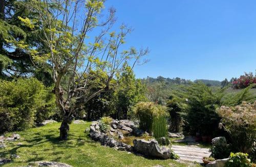 Condeixa a Nova Bed & Breakfast | Pedra Oliveira