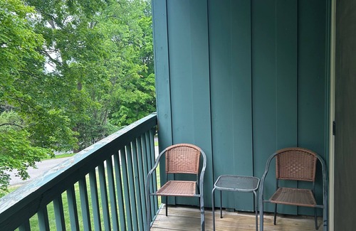 Bellaire Apartment | Peekaboo Lake Views!